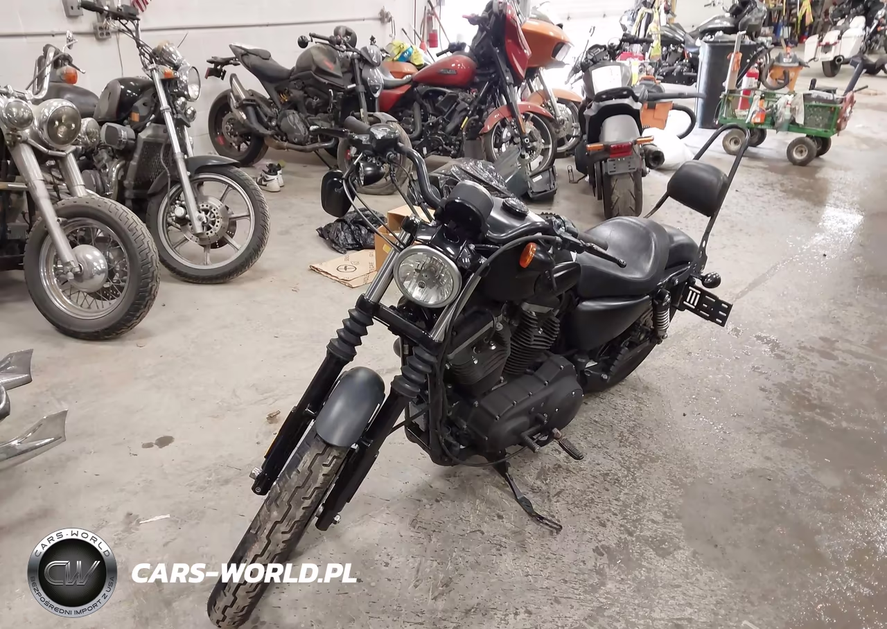 2009 Harley-Davidson Xl883 N VIN:1HD4LE2419K457731 - 2