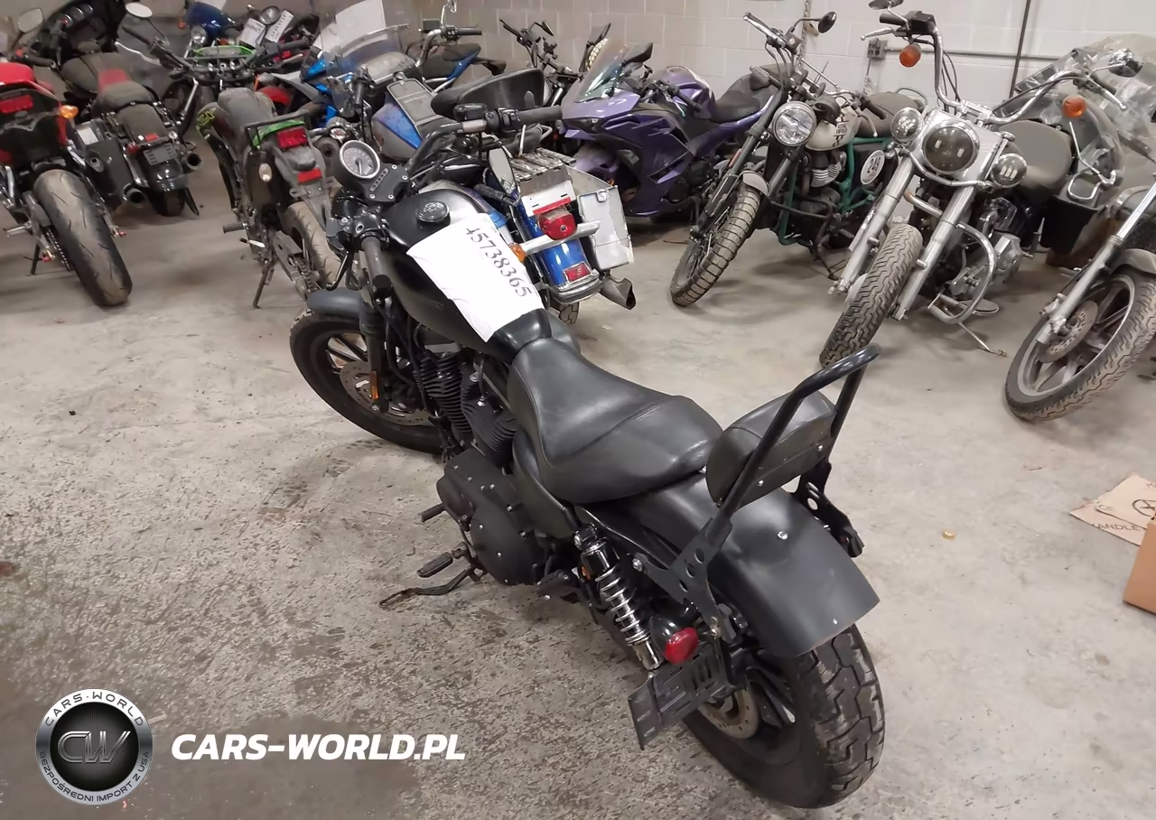 2009 Harley-Davidson Xl883 N VIN:1HD4LE2419K457731 - 3