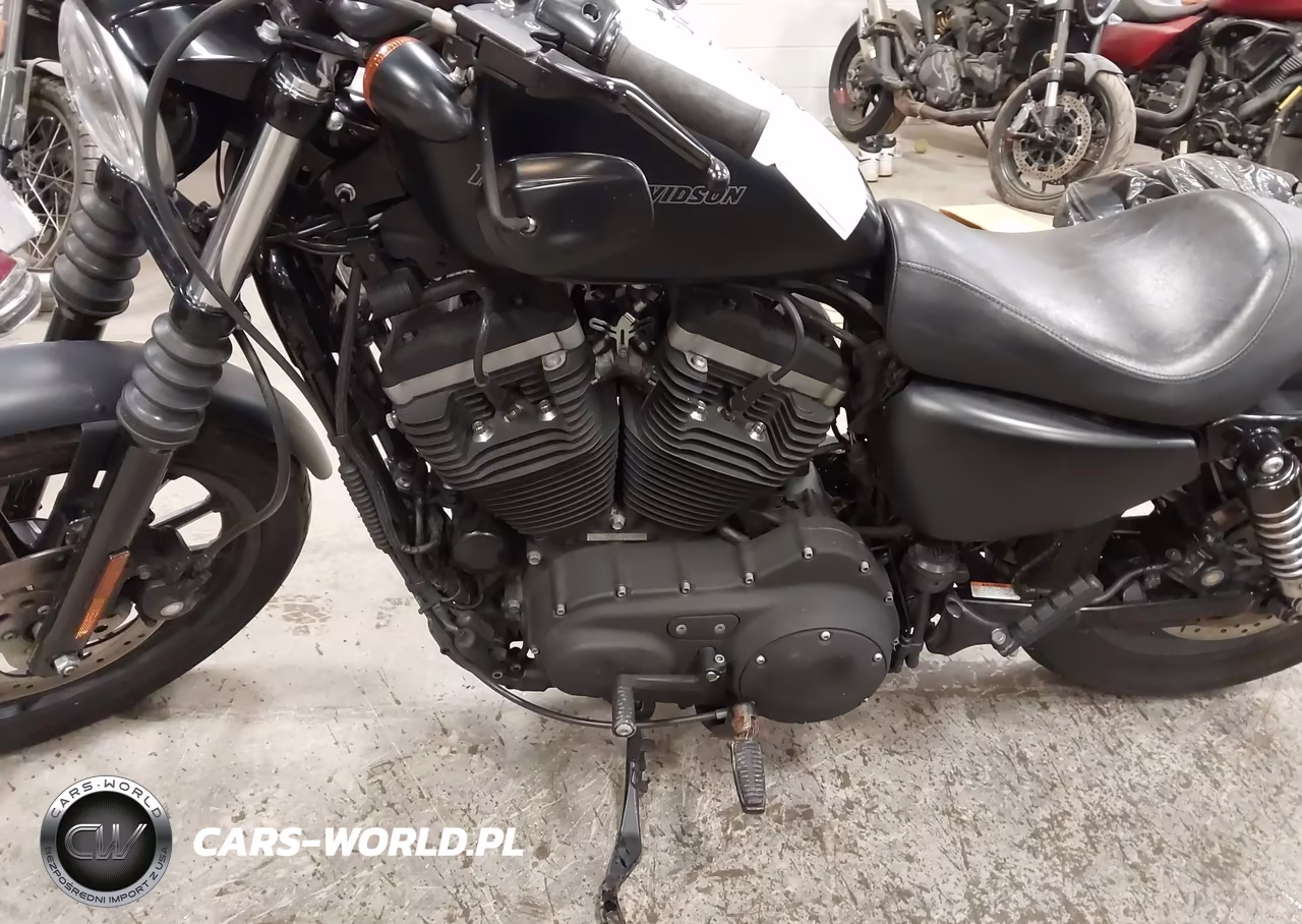2009 Harley-Davidson Xl883 N VIN:1HD4LE2419K457731 - 9