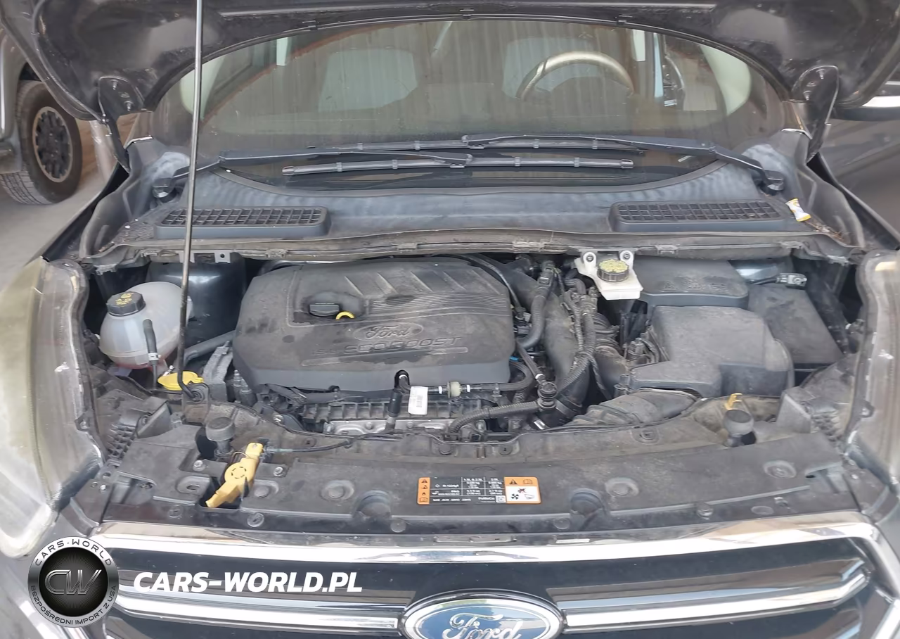 2017 Ford Escape Titanium VIN:1FMCU0JD9HUC31420 - 10