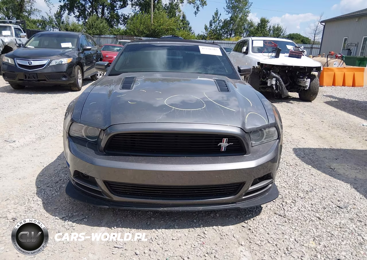 2013 Ford Mustang Gt Premium VIN:1ZVBP8FF3D5276869 - 12