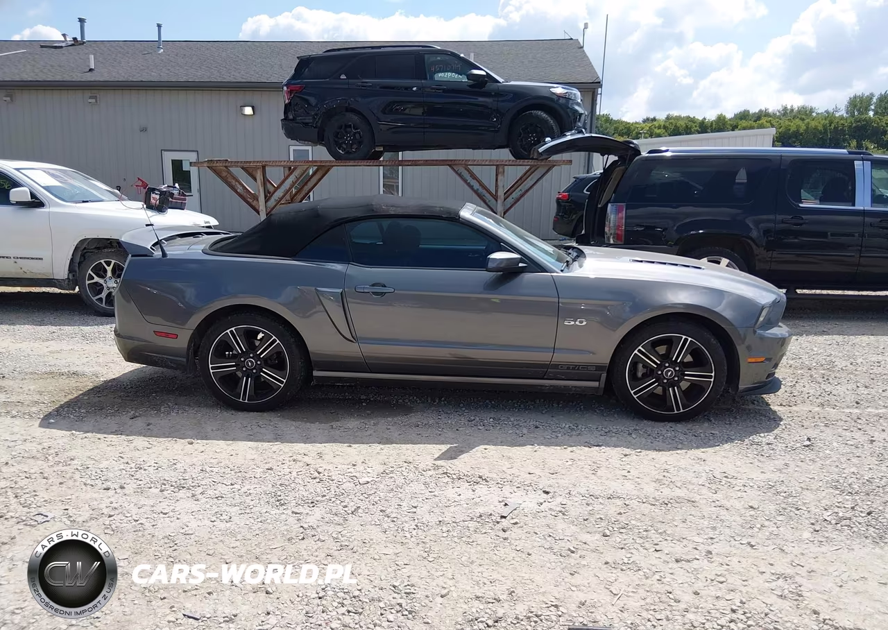 2013 Ford Mustang Gt Premium VIN:1ZVBP8FF3D5276869 - 13