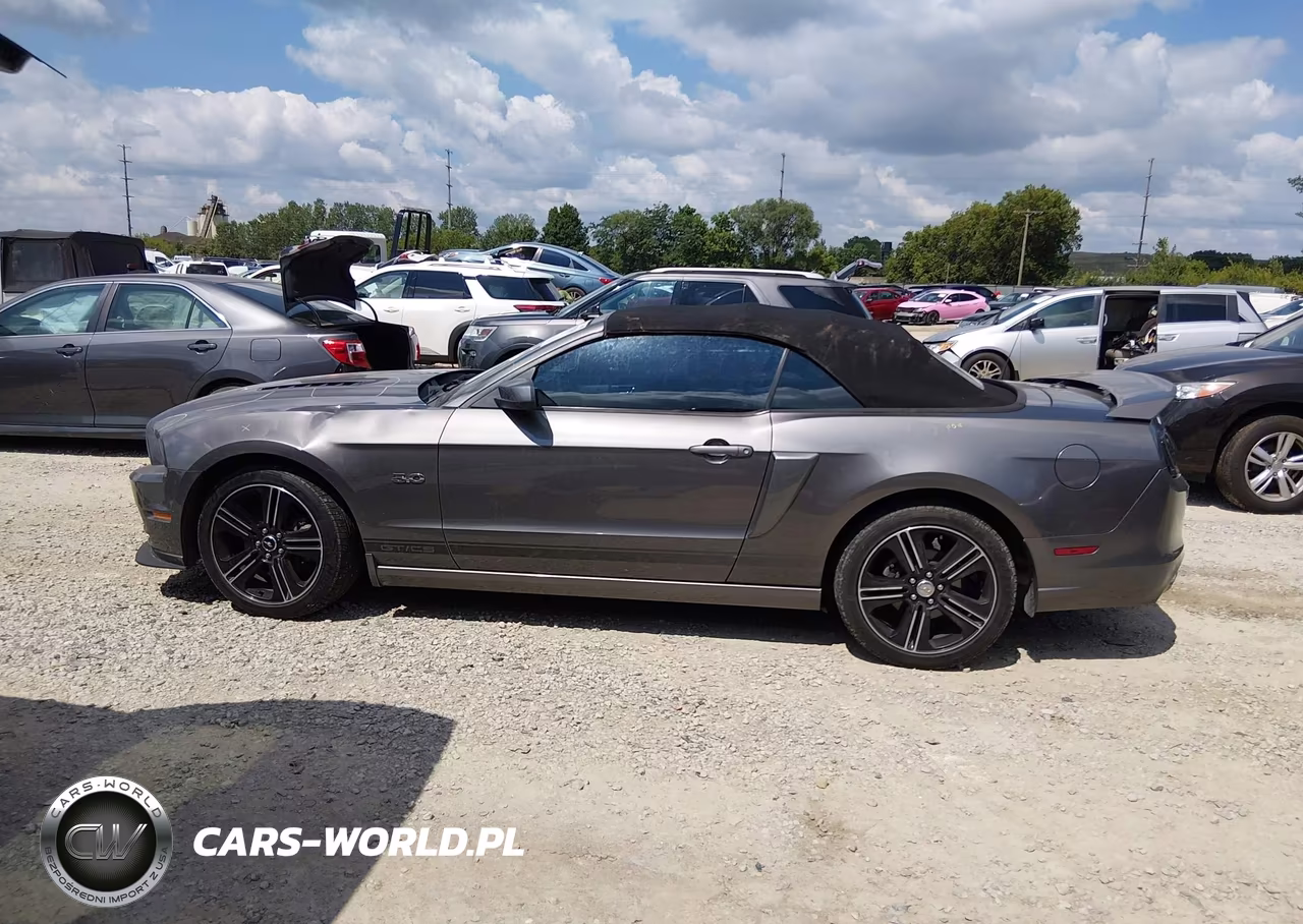 2013 Ford Mustang Gt Premium VIN:1ZVBP8FF3D5276869 - 14