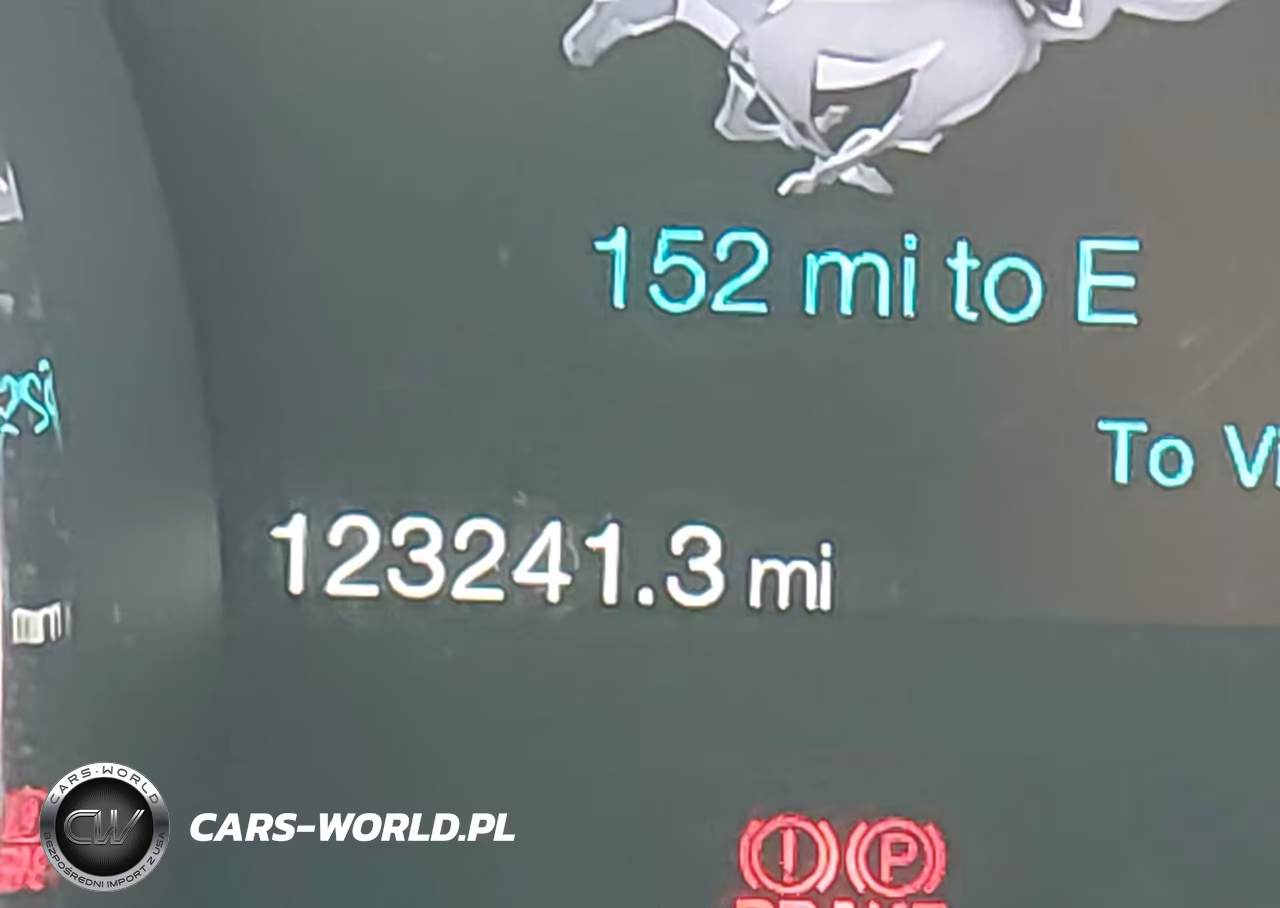 2013 Ford Mustang Gt Premium VIN:1ZVBP8FF3D5276869 - 15