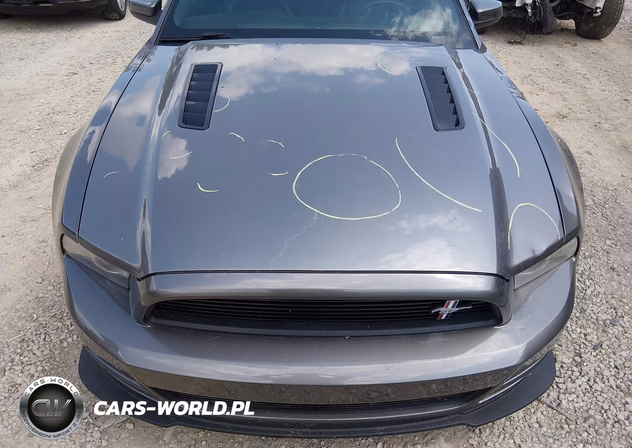 2013 Ford Mustang Gt Premium VIN:1ZVBP8FF3D5276869 - 17