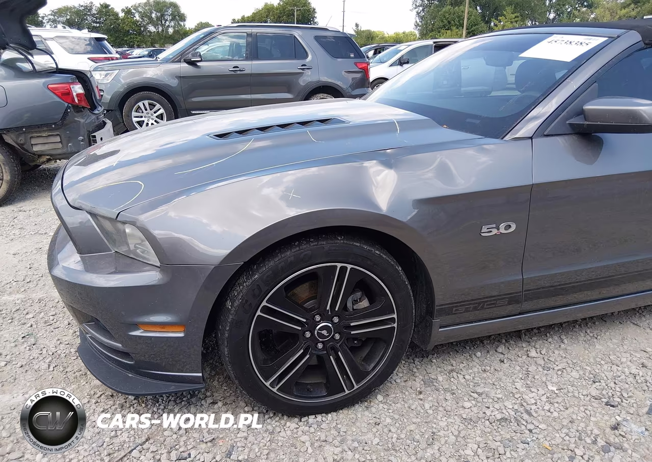 2013 Ford Mustang Gt Premium VIN:1ZVBP8FF3D5276869 - 6