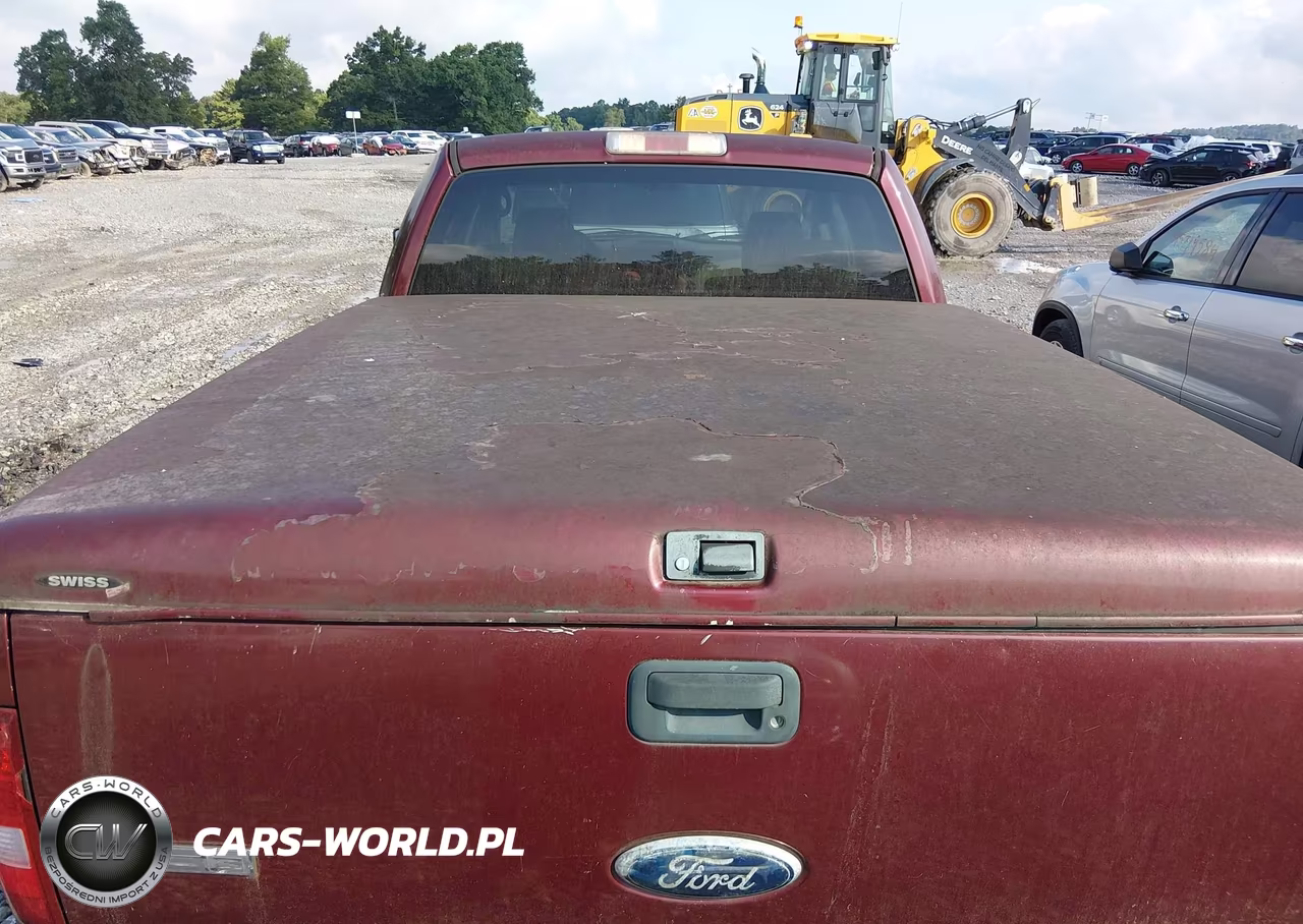2006 Ford F-150 Stx-Xl-Xlt VIN:1FTRX14W86NA91831 - 12