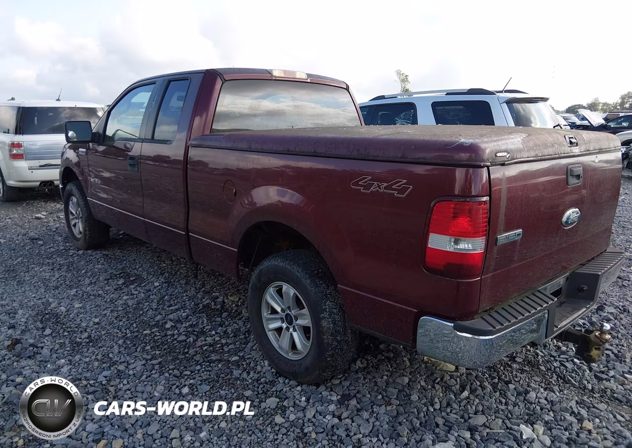 2006 Ford F-150 Stx-Xl-Xlt VIN:1FTRX14W86NA91831 - 3