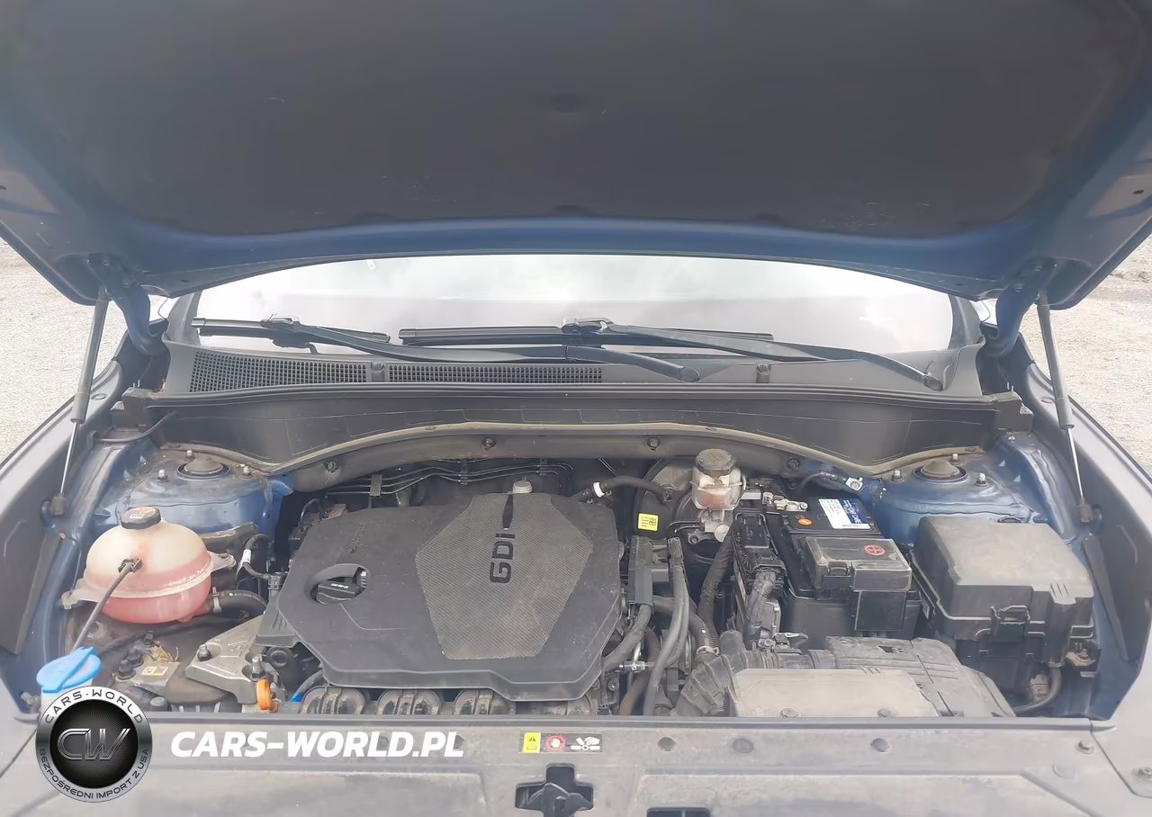 2021 Hyundai Santa Fe Sel VIN:5NMS2DAJ8MH310386 - 10