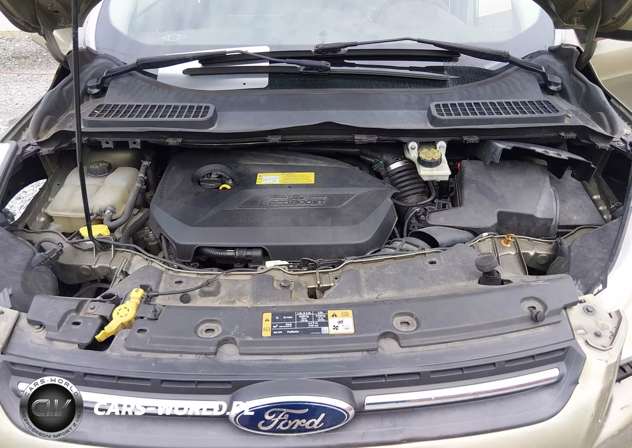 2014 Ford Escape Se VIN:1FMCU0GX5EUB22739 - 10