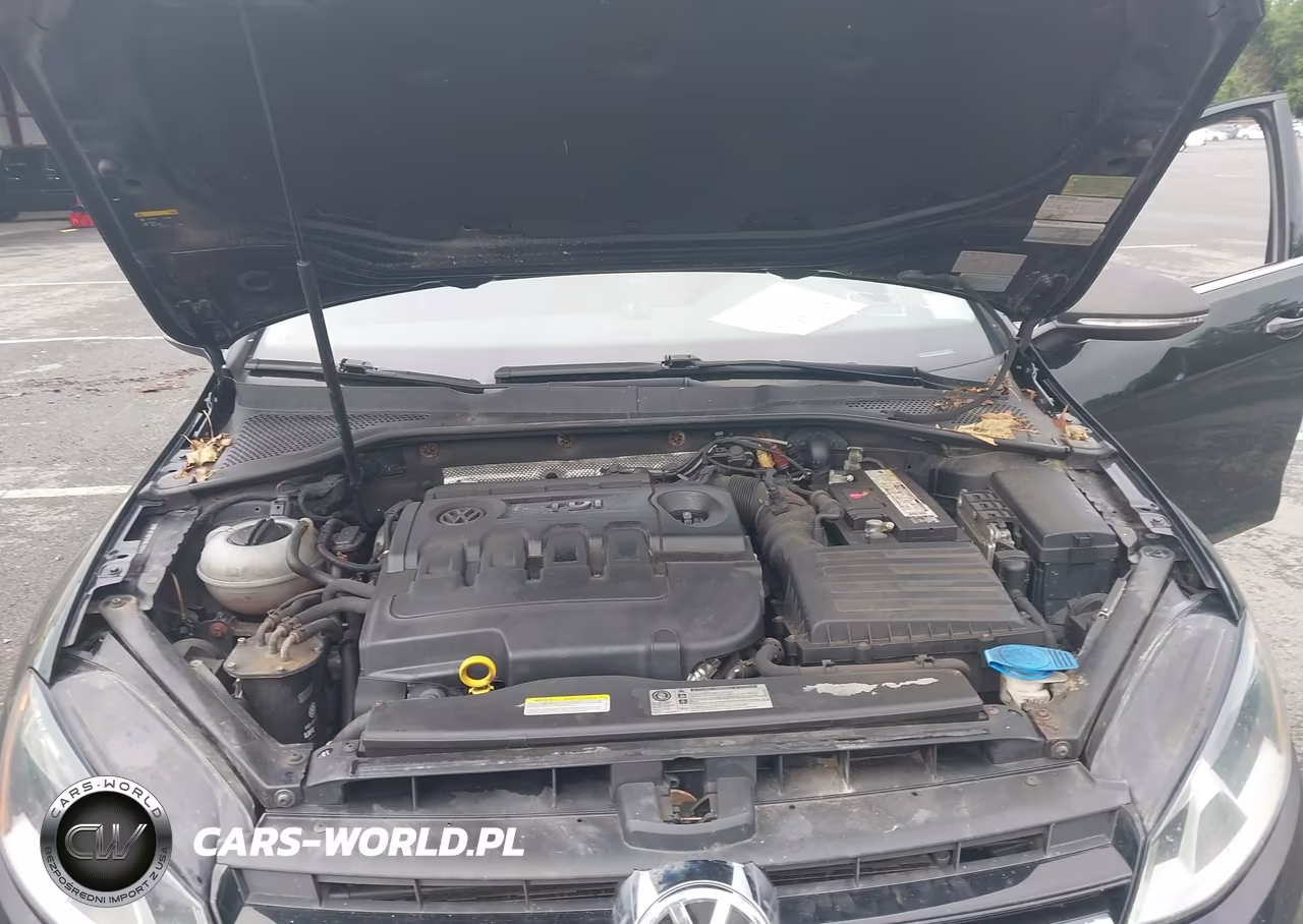 2015 Volkswagen Golf Sportwagen Tdi Se 4-Door VIN:3VWFA7AU1FM518123 - 10