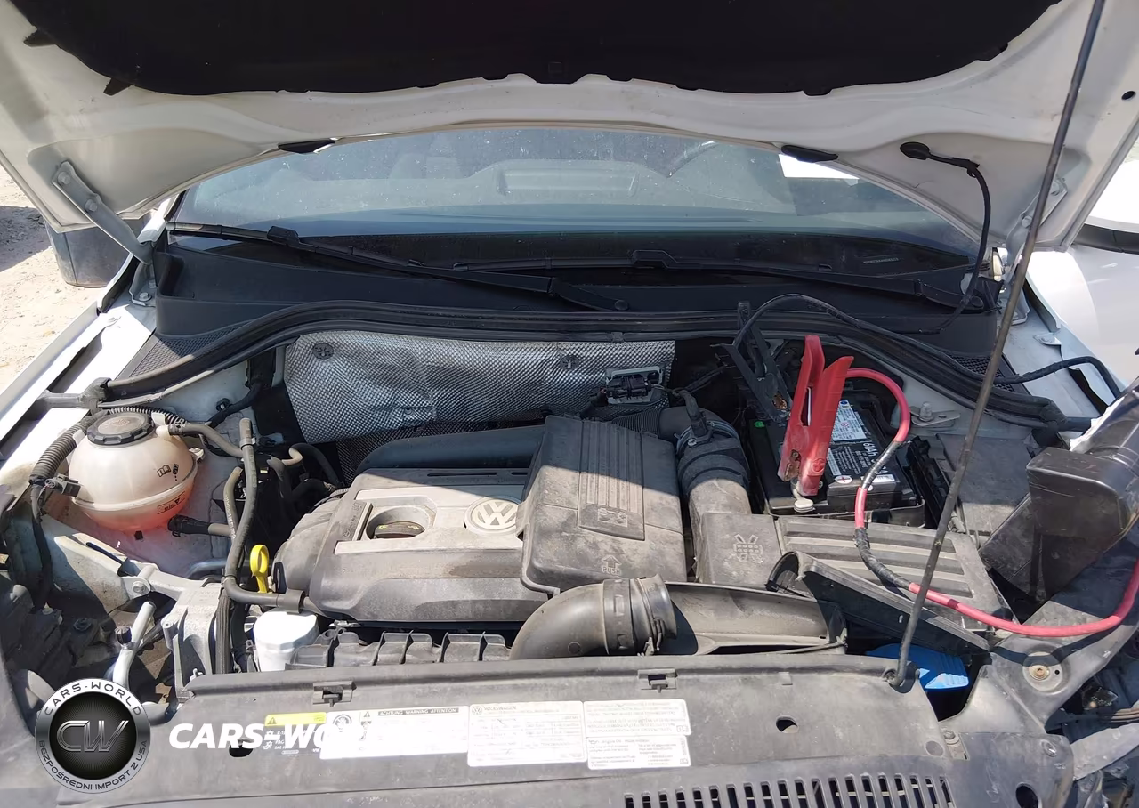 2017 Volkswagen Tiguan 2.0T-2.0T S VIN:WVGBV7AX4HK043623 - 10