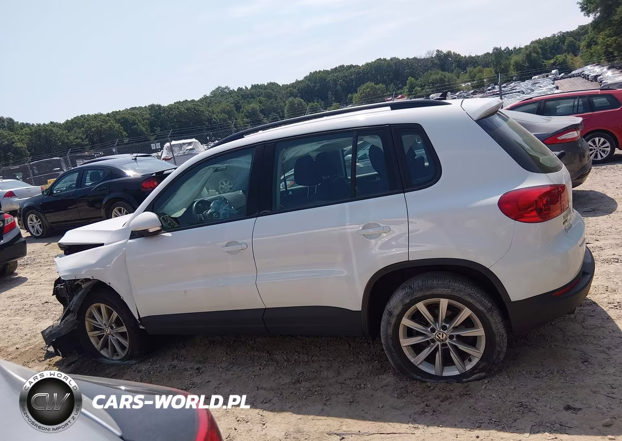 2017 Volkswagen Tiguan 2.0T-2.0T S VIN:WVGBV7AX4HK043623 - 15