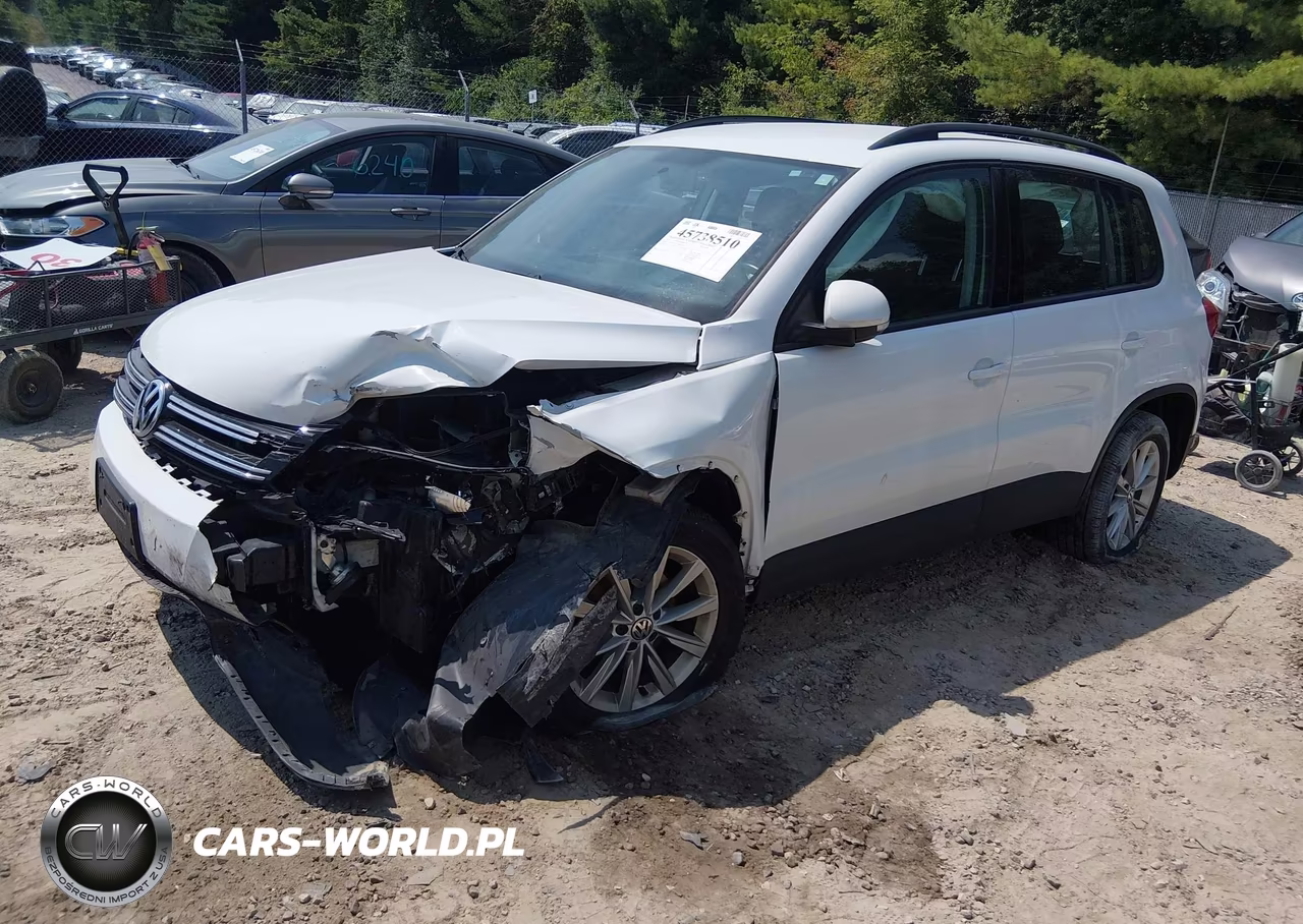 2017 Volkswagen Tiguan 2.0T-2.0T S VIN:WVGBV7AX4HK043623 - 2