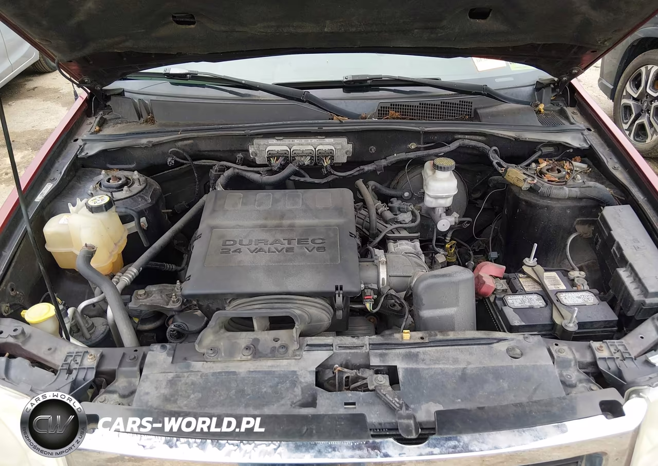 2010 Ford Escape Xlt VIN:1FMCU9DG8AKB54700 - 10