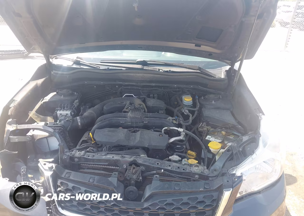 2015 Subaru Forester 2.5I Premium VIN:JF2SJADC1FH568933 - 10
