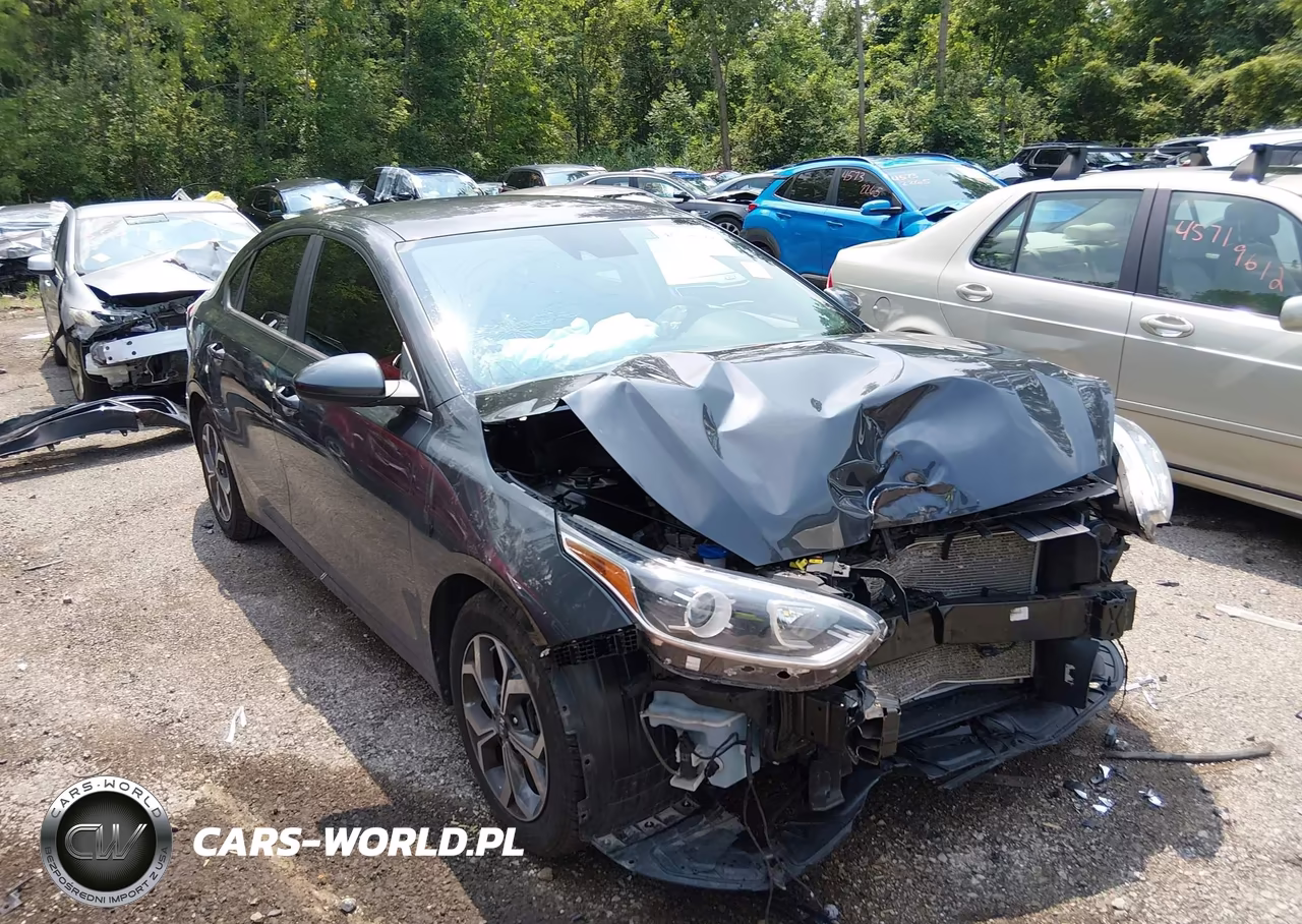 2019 Kia Forte Lxs