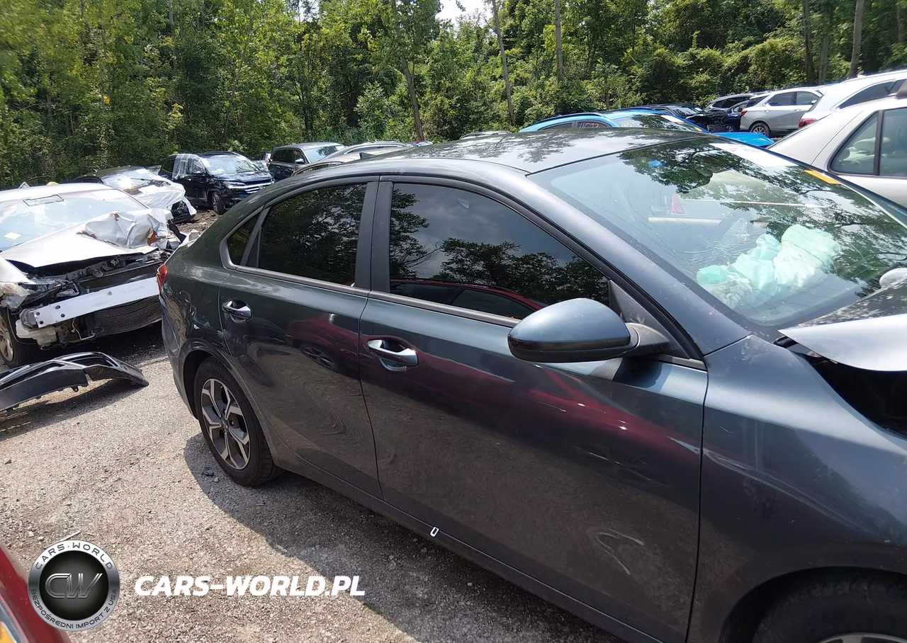 2019 Kia Forte Lxs VIN:3KPF24AD4KE061424 - 14