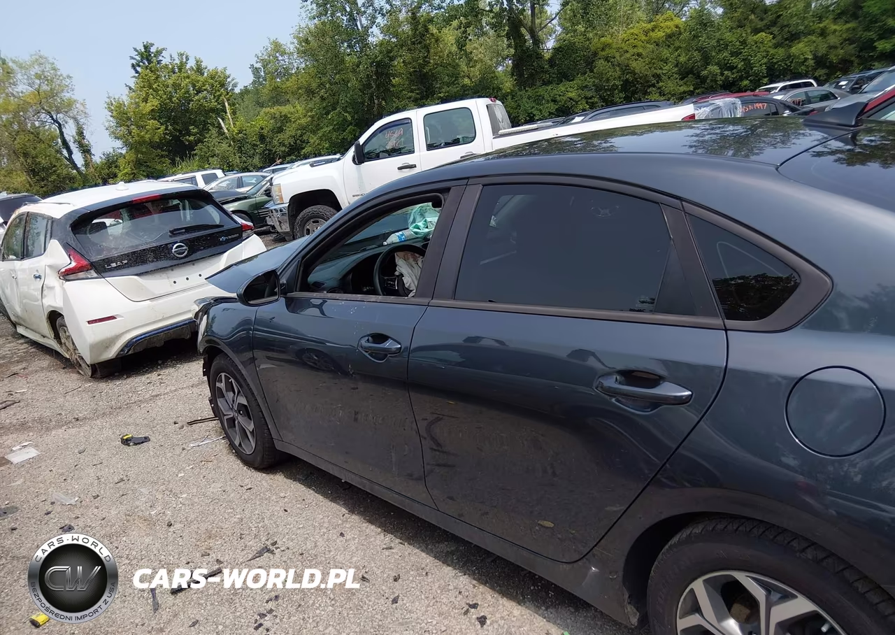 2019 Kia Forte Lxs VIN:3KPF24AD4KE061424 - 15