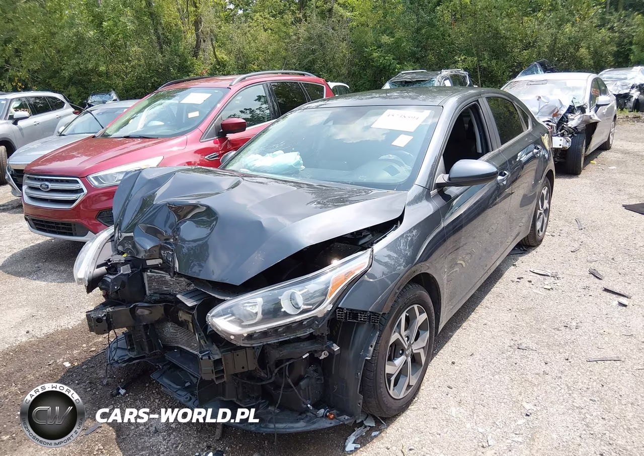 2019 Kia Forte Lxs VIN:3KPF24AD4KE061424 - 2