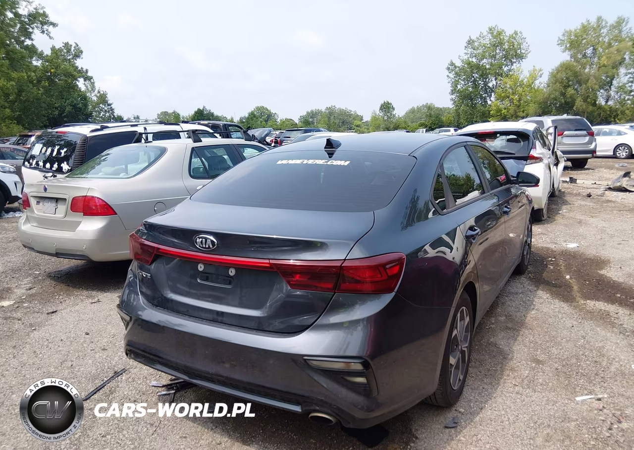 2019 Kia Forte Lxs VIN:3KPF24AD4KE061424 - 4