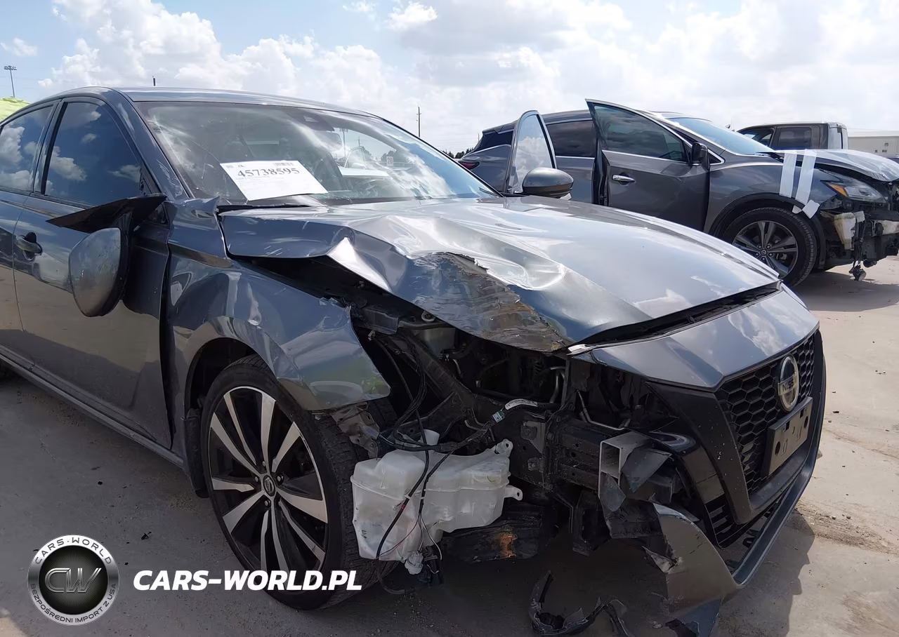 2019 Nissan Altima 2.5 Platinum VIN:1N4BL4FV7KC202304 - 6