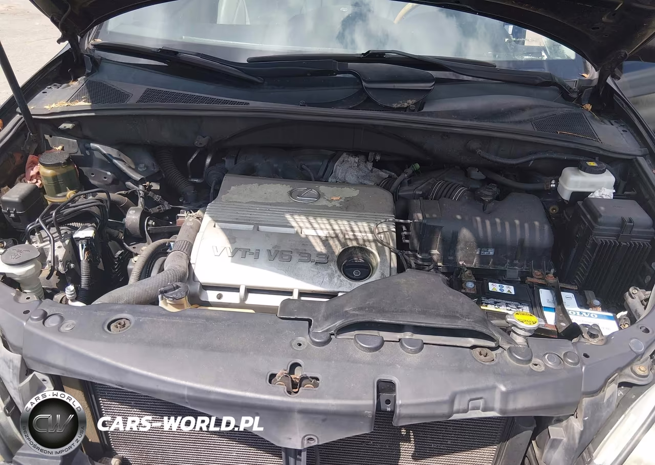 2005 Lexus Rx 330 VIN:2T2HA31U85C040676 - 10