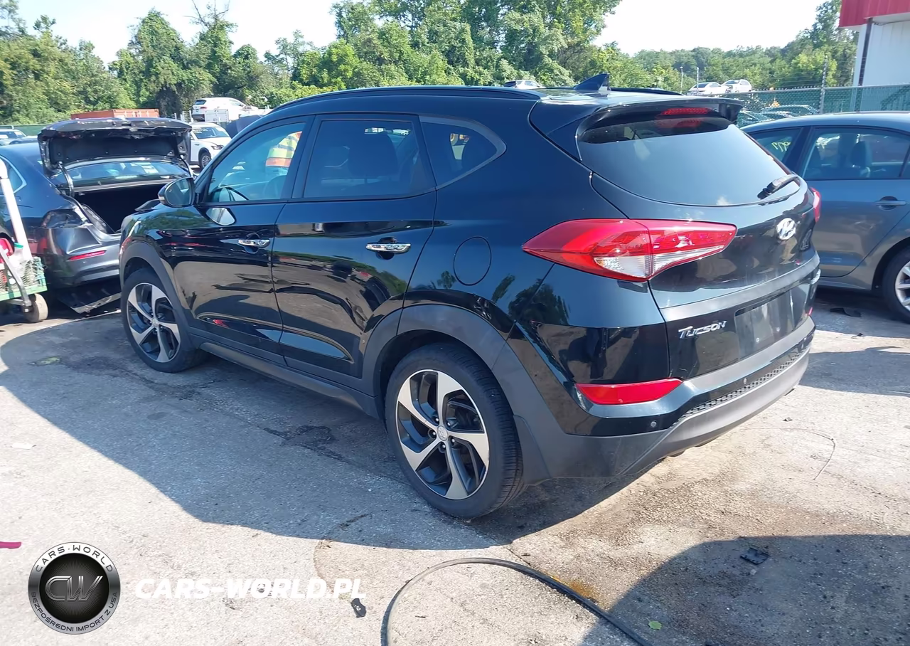 2016 Hyundai Tucson Limited VIN:KM8J33A26GU169760 - 3