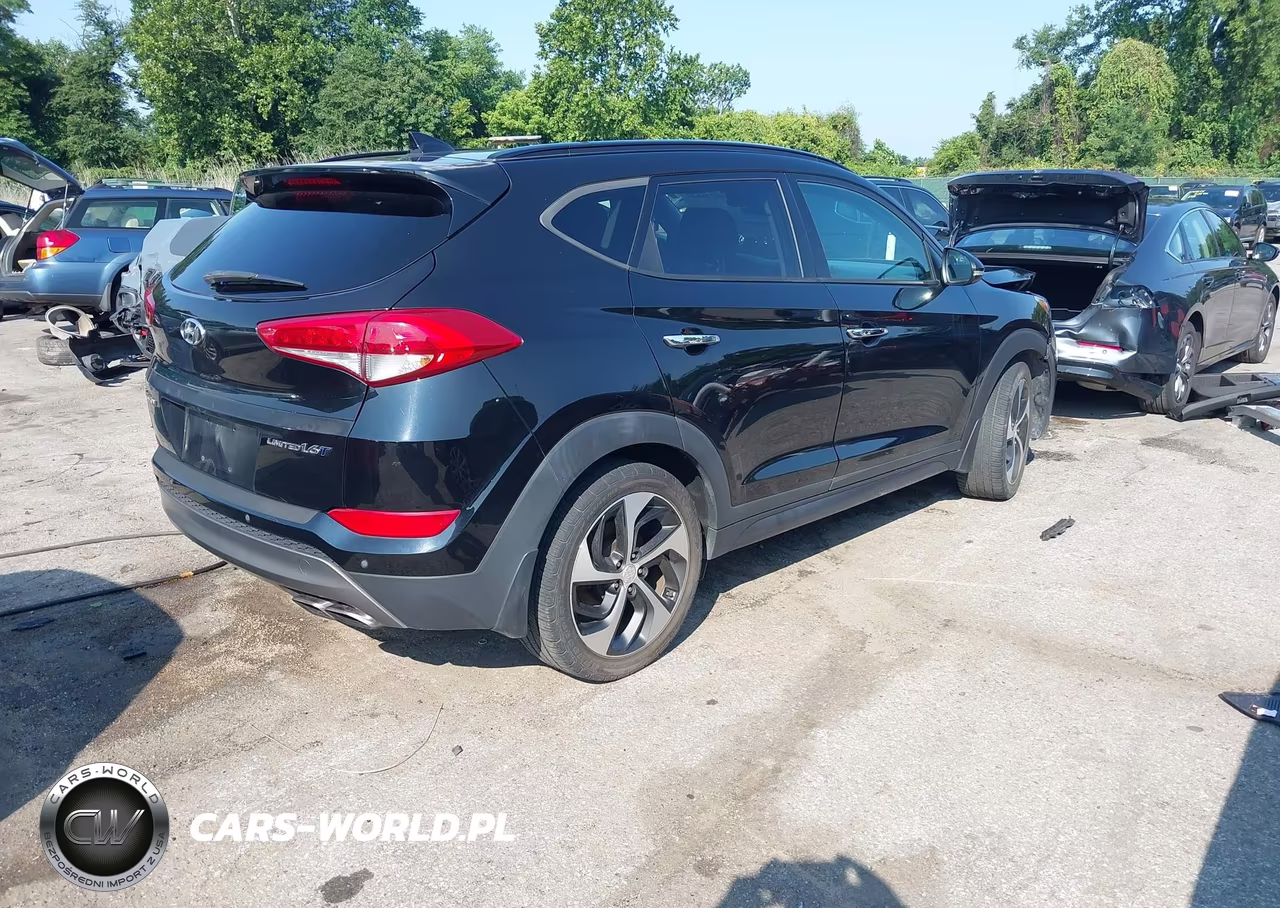 2016 Hyundai Tucson Limited VIN:KM8J33A26GU169760 - 4