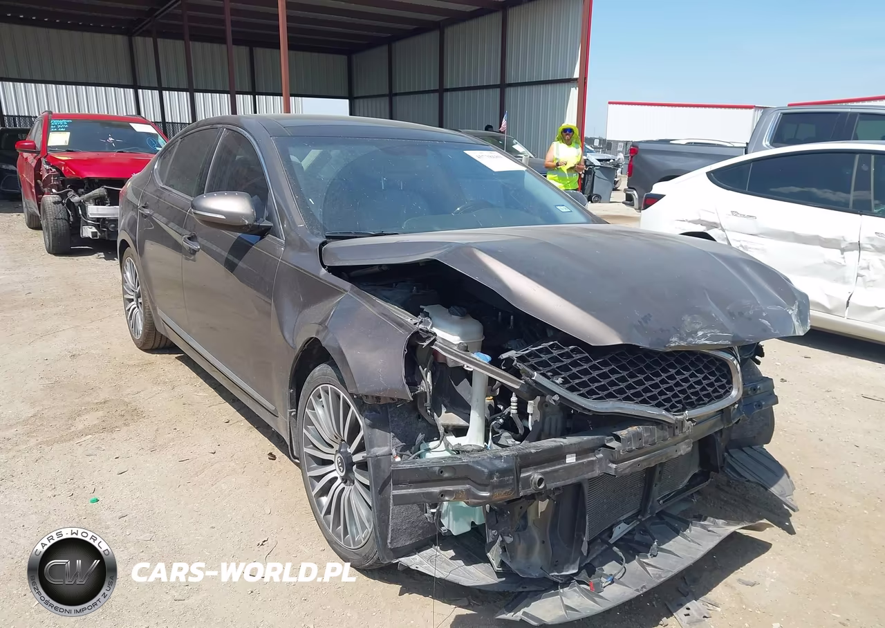 2014 Kia Cadenza Premium