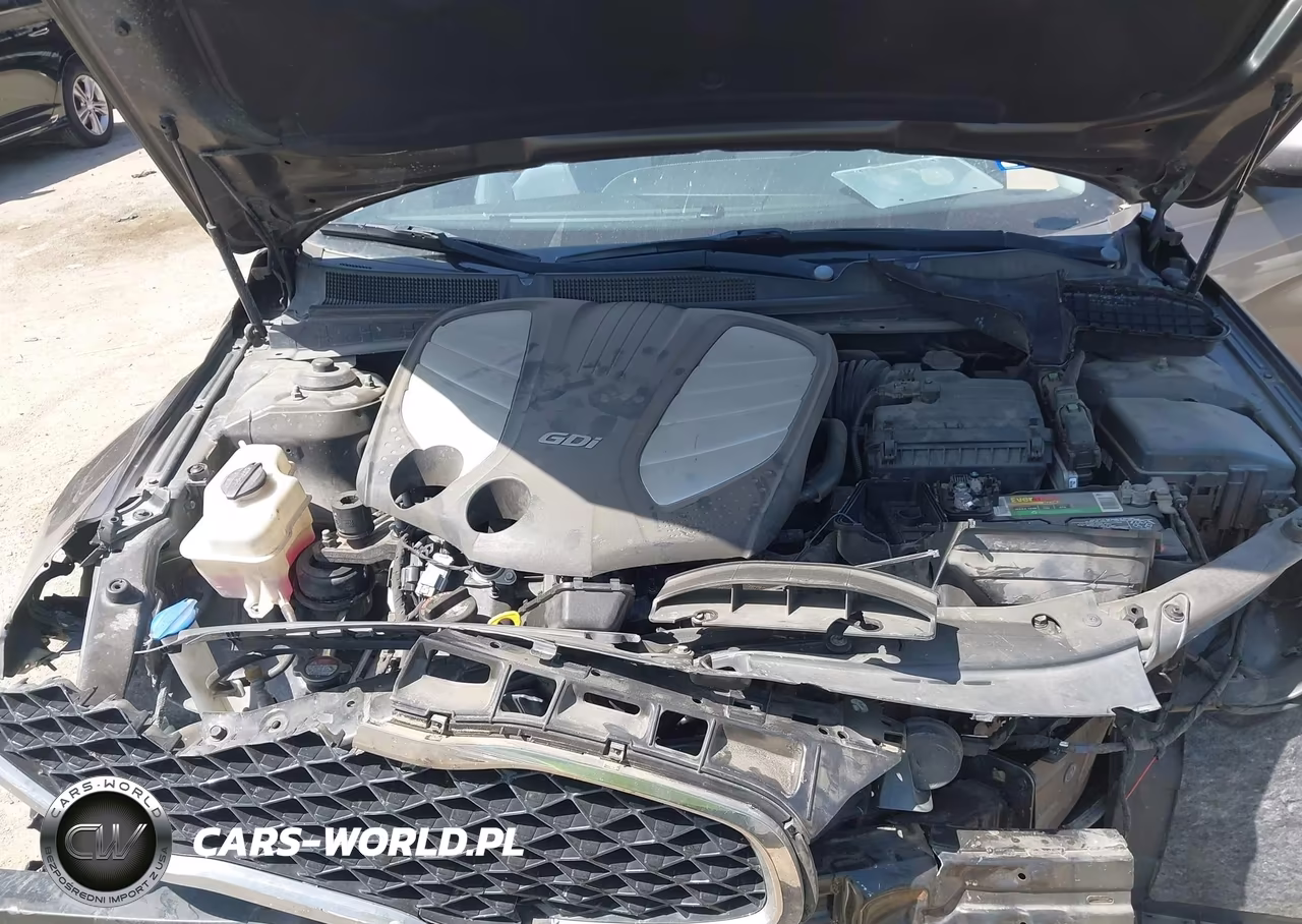 2014 Kia Cadenza Premium VIN:KNALN4D78E5122562 - 10