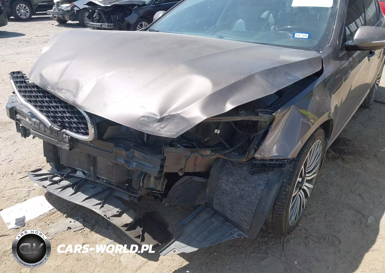 2014 Kia Cadenza Premium VIN:KNALN4D78E5122562 - 6