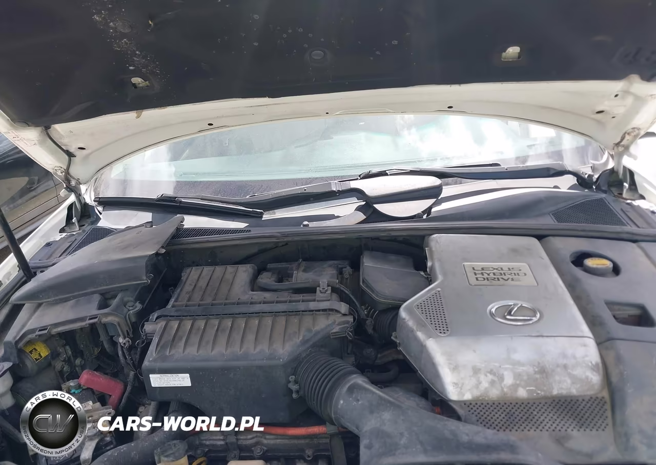 2007 Lexus Rx 400H VIN:JTJGW31U972003944 - 10