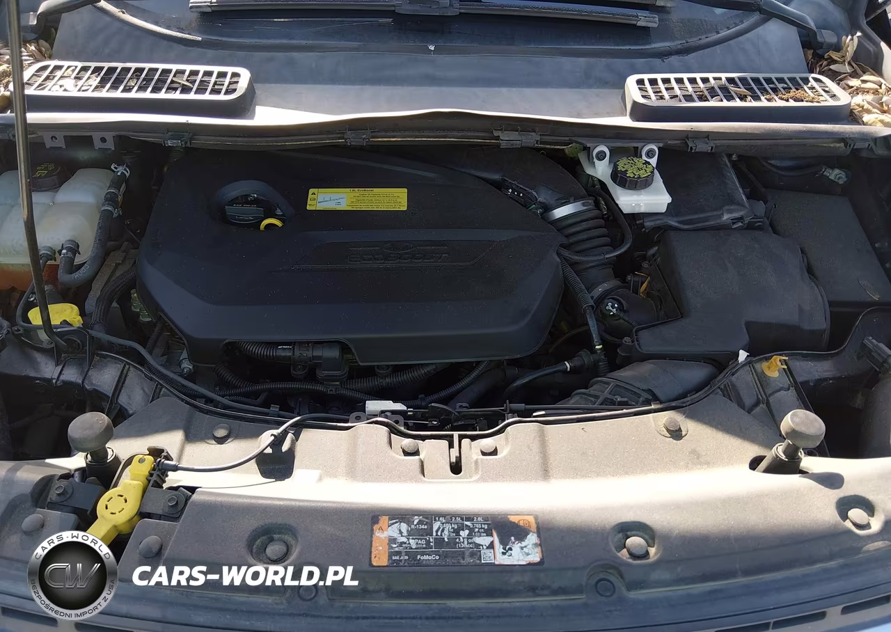 2014 Ford Escape Se VIN:1FMCU0GX6EUC60922 - 10