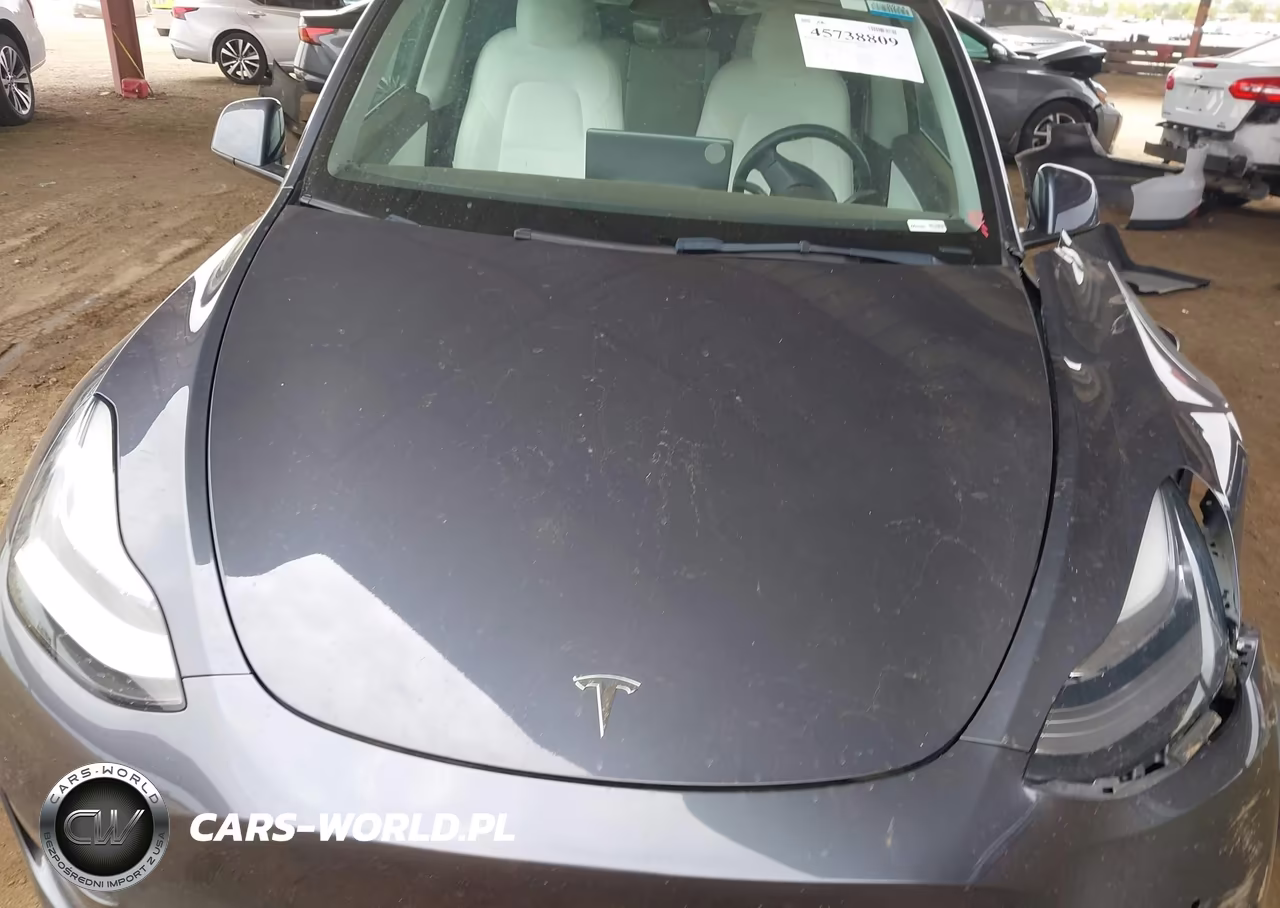 2022 Tesla Model Y Long Range Dual Motor All-Wheel Drive VIN:7SAYGDEE0NF420847 - 10