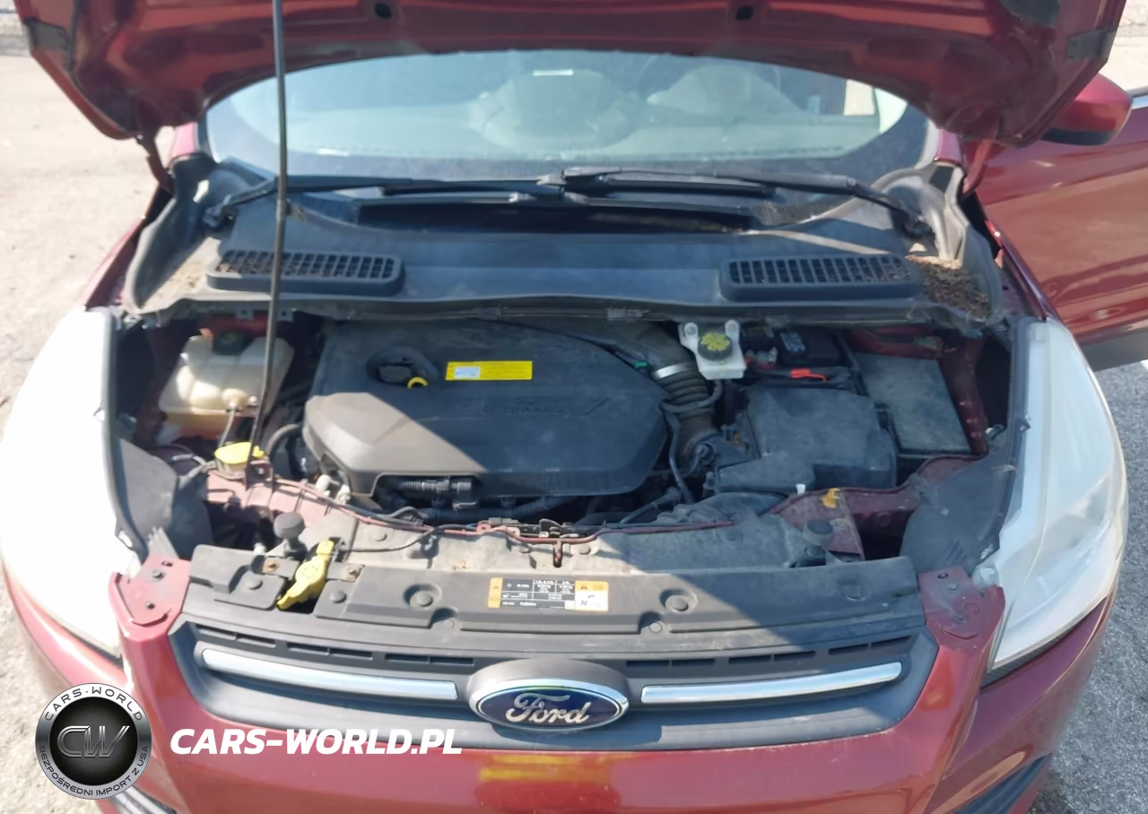 2016 Ford Escape Se VIN:1FMCU0GX2GUA07941 - 10