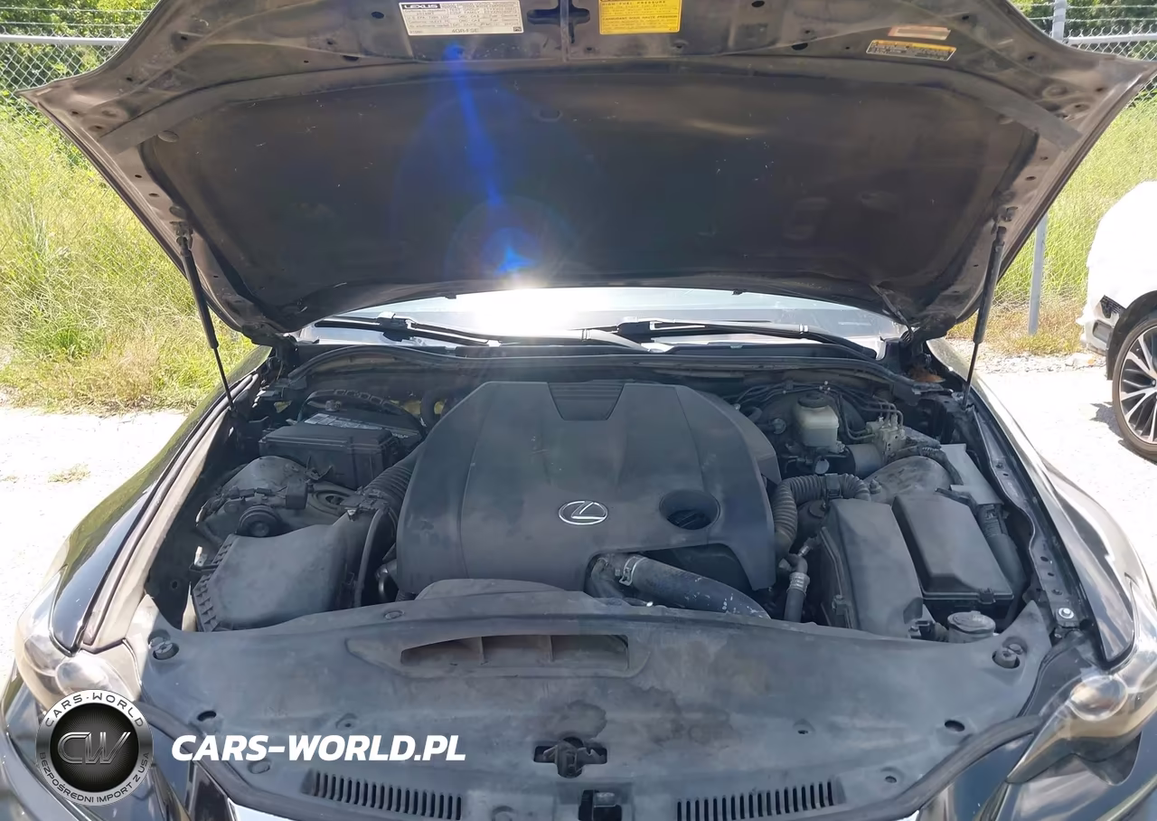 2014 Lexus Is 250 VIN:JTHBF1D23E5035097 - 10