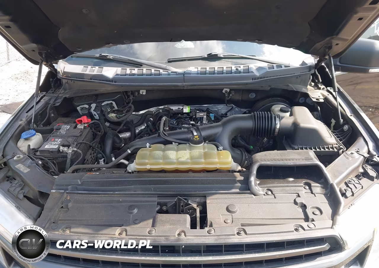 2019 Ford F-150 Xlt VIN:1FTEW1CP0KFD10023 - 10