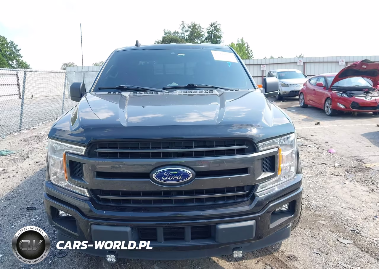 2019 Ford F-150 Xlt VIN:1FTEW1CP0KFD10023 - 12