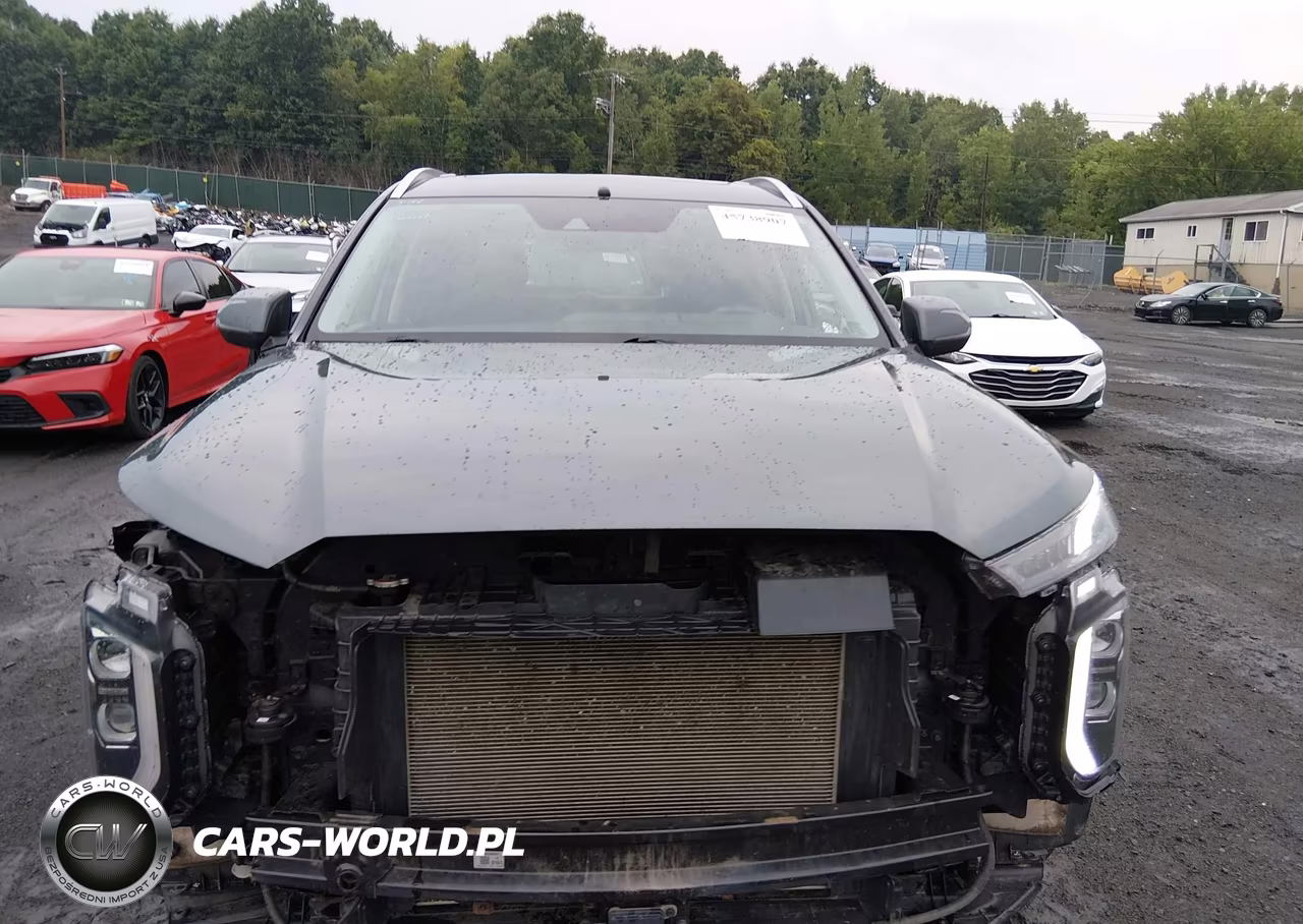 2022 Hyundai Palisade Sel VIN:KM8R3DHEXNU453432 - 12