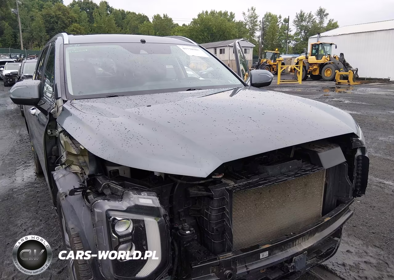 2022 Hyundai Palisade Sel VIN:KM8R3DHEXNU453432 - 6
