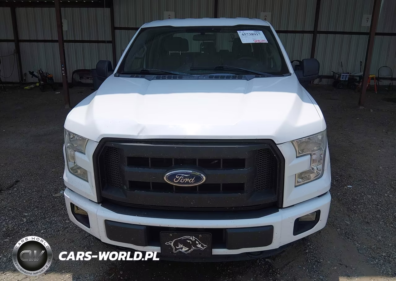 2015 Ford F-150 Xl VIN:1FTEW1EPXFKE38070 - 12