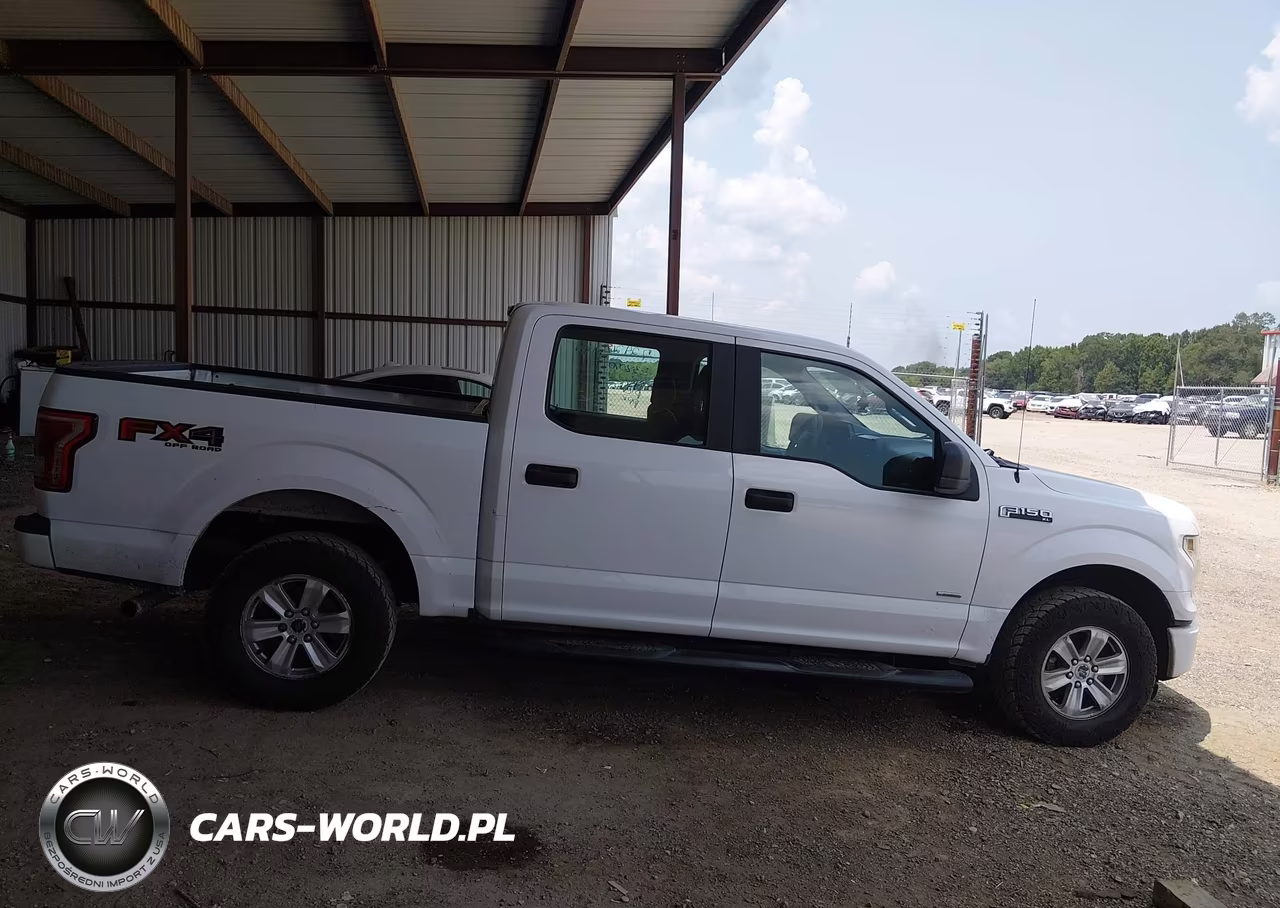 2015 Ford F-150 Xl VIN:1FTEW1EPXFKE38070 - 13