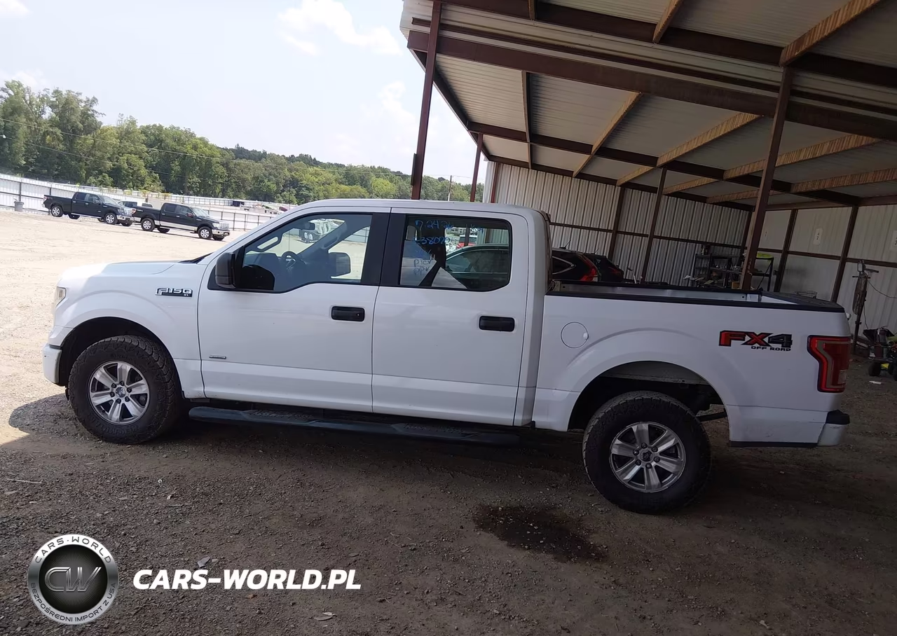 2015 Ford F-150 Xl VIN:1FTEW1EPXFKE38070 - 14
