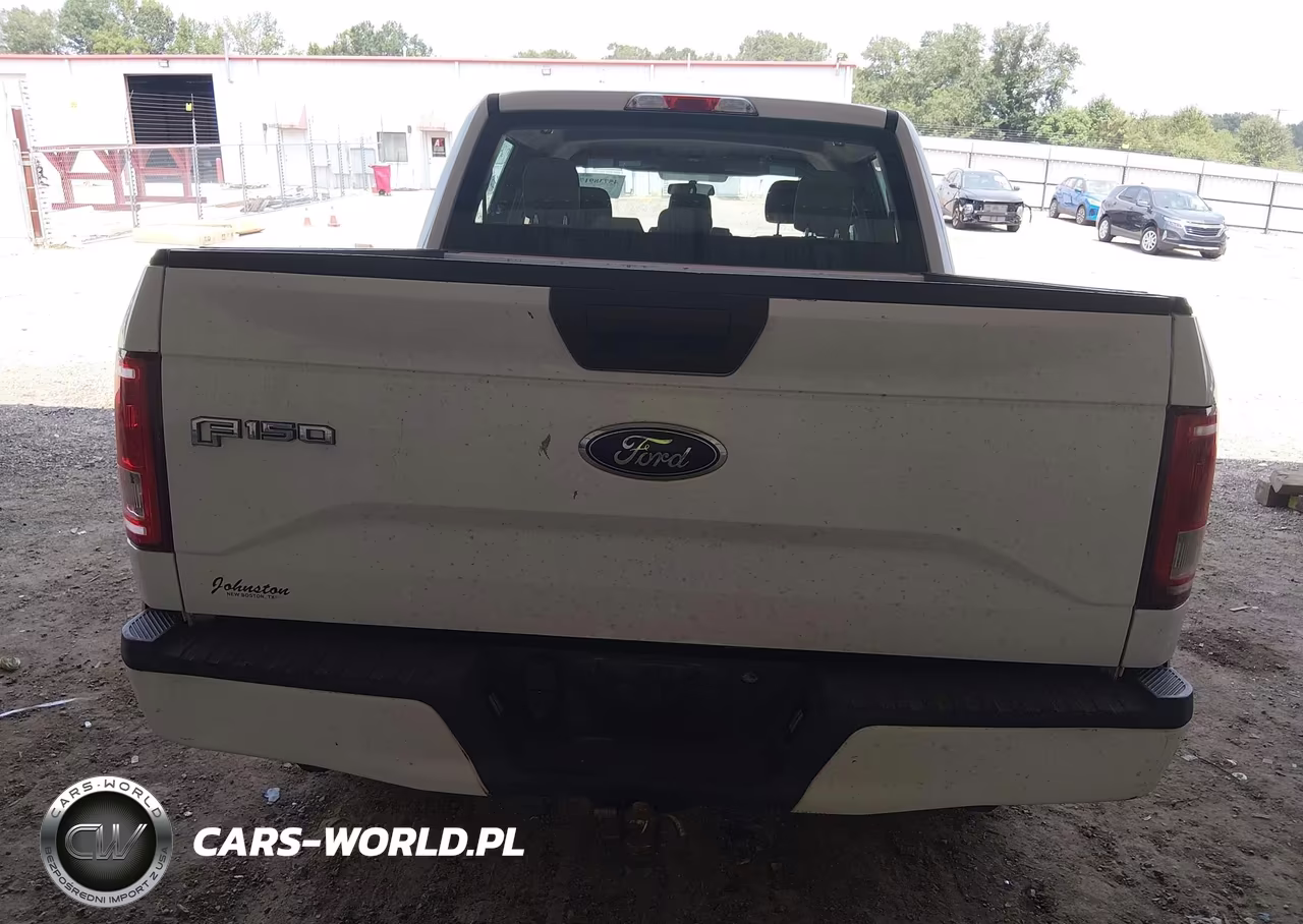2015 Ford F-150 Xl VIN:1FTEW1EPXFKE38070 - 16