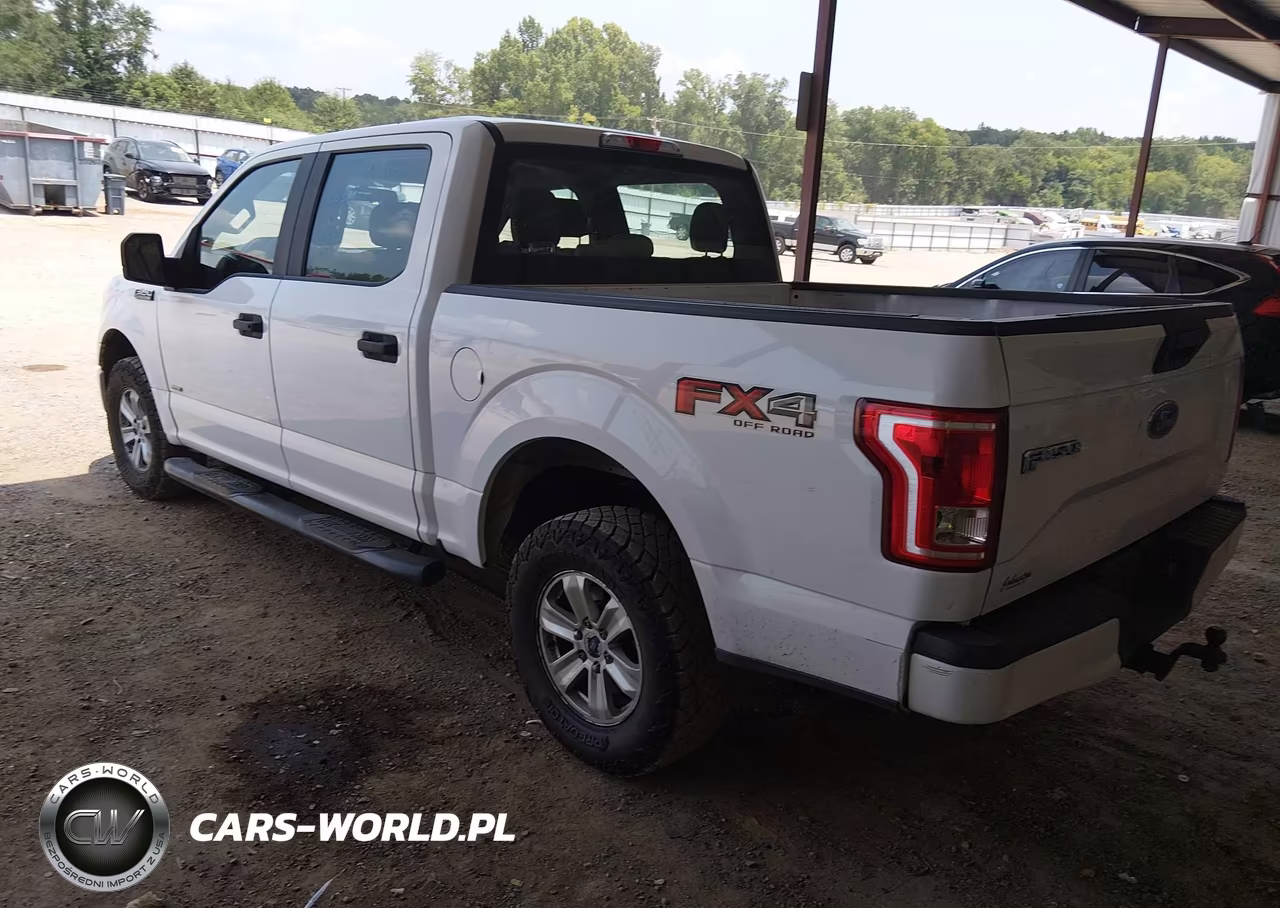 2015 Ford F-150 Xl VIN:1FTEW1EPXFKE38070 - 3