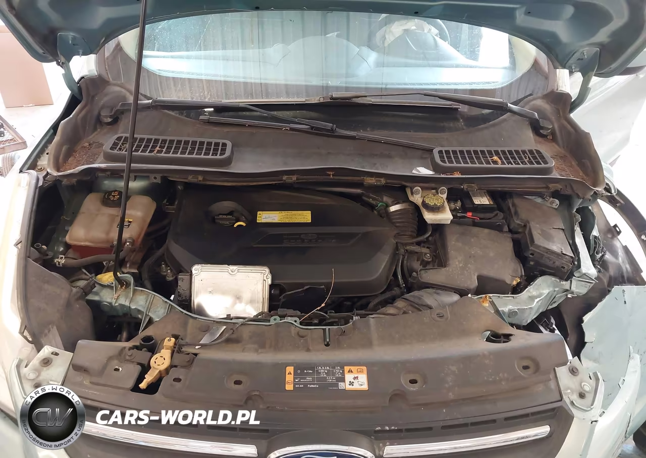 2013 Ford Escape Se VIN:1FMCU0GX9DUB68363 - 10
