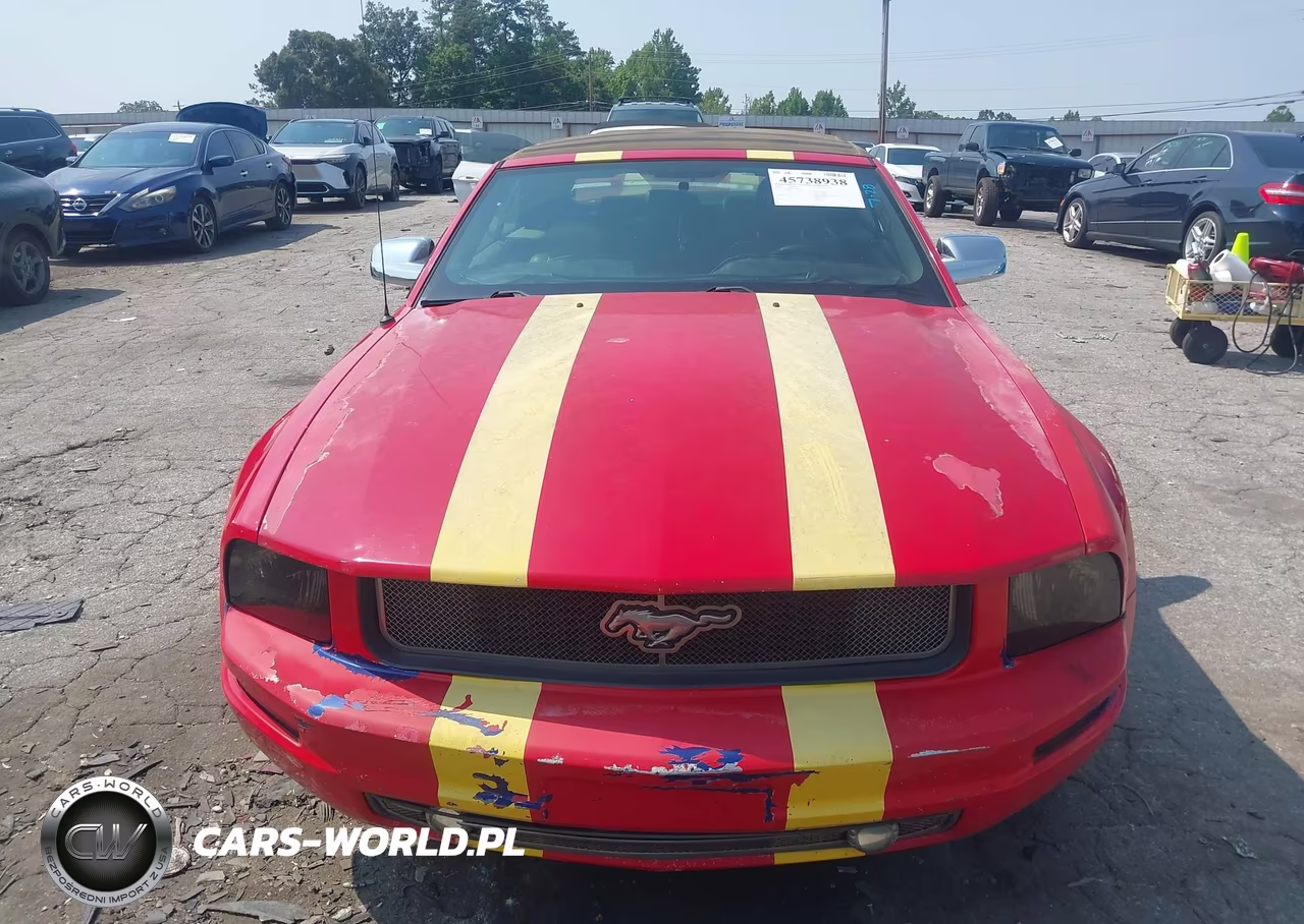 2005 Ford Mustang VIN:1ZVFT84N855258618 - 12