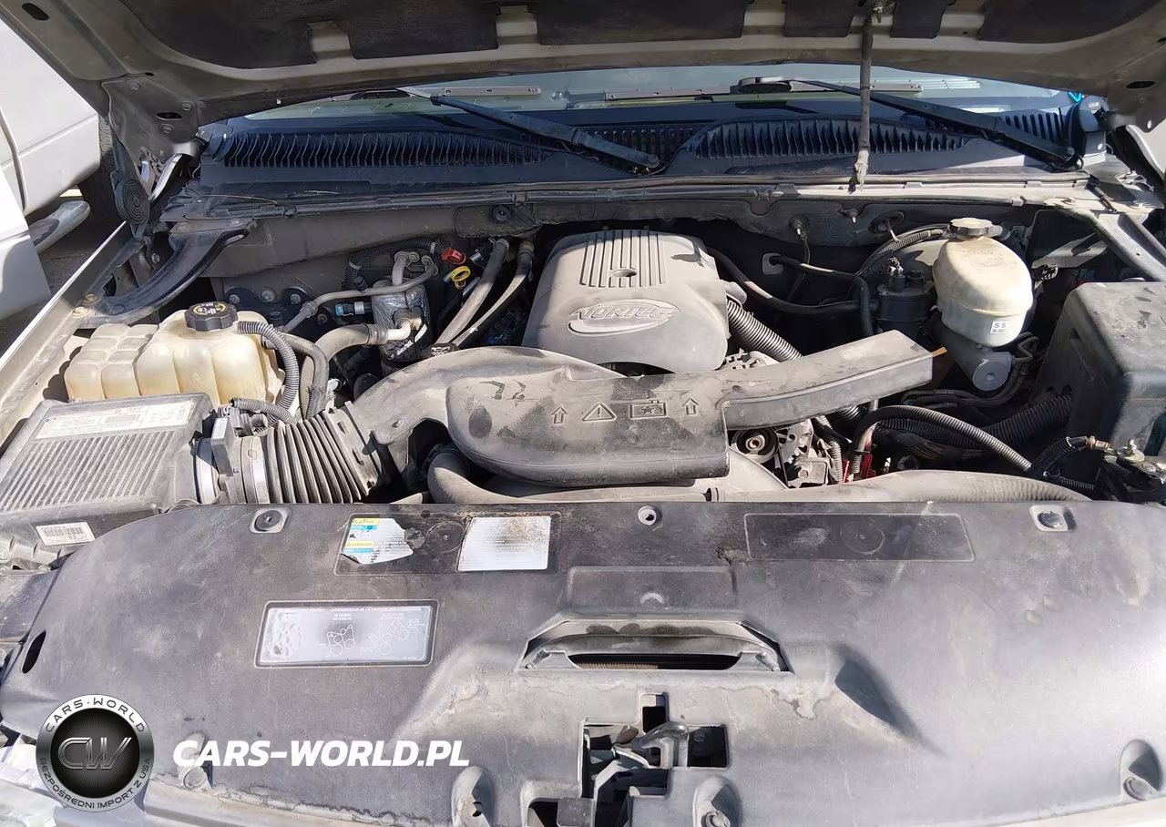 2003 Chevrolet Tahoe Z71 VIN:1GNEK13Z03R310754 - 10
