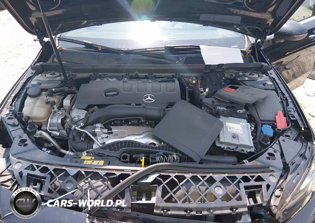 2019 Mercedes-Benz A 220 4Matic VIN:WDD3G4FB5KW014295 - 10